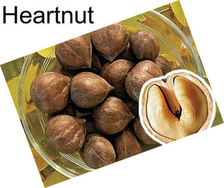 Heartnut