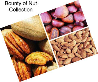 Bounty of Nut Collection