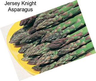 Jersey Knight Asparagus