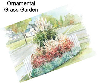 Ornamental Grass Garden