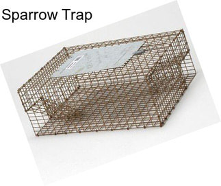 Sparrow Trap