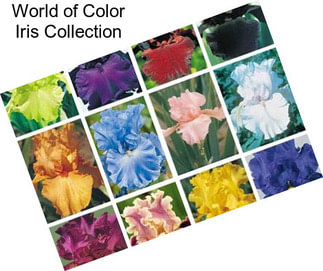 World of Color Iris Collection