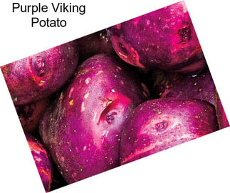 Purple Viking Potato