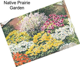 Native Prairie Garden