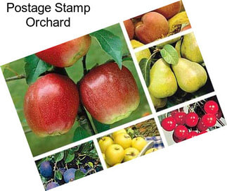 Postage Stamp Orchard
