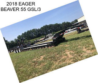 2018 EAGER BEAVER 55 GSL/3