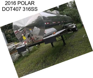 2016 POLAR DOT407 316SS