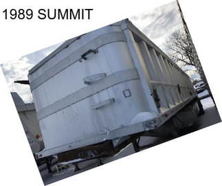 1989 SUMMIT