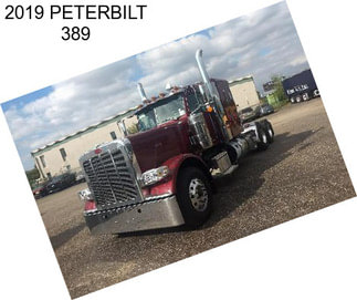 2019 PETERBILT 389