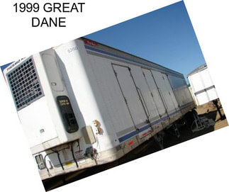 1999 GREAT DANE