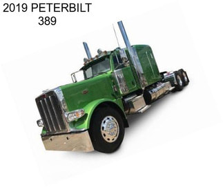 2019 PETERBILT 389