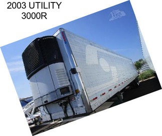 2003 UTILITY 3000R