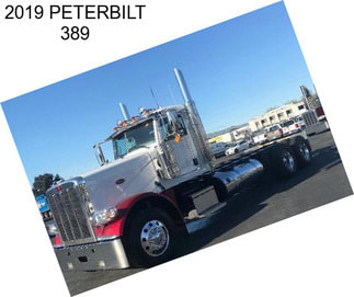 2019 PETERBILT 389