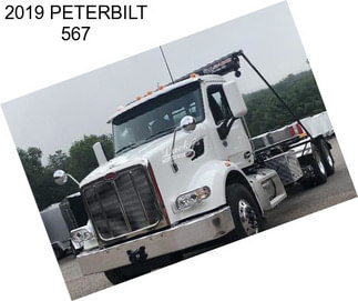 2019 PETERBILT 567