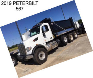 2019 PETERBILT 567