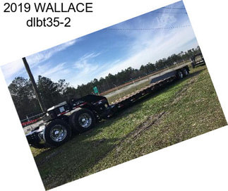 2019 WALLACE dlbt35-2