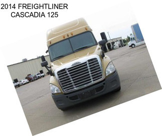 2014 FREIGHTLINER CASCADIA 125