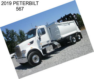 2019 PETERBILT 567