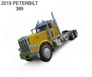 2019 PETERBILT 389