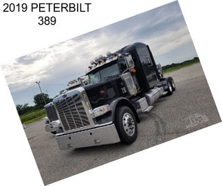 2019 PETERBILT 389