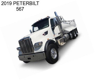 2019 PETERBILT 567