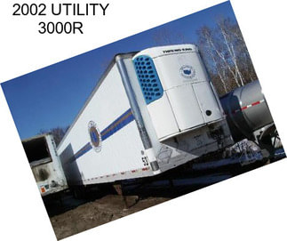 2002 UTILITY 3000R