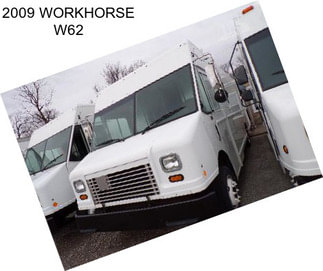 2009 WORKHORSE W62