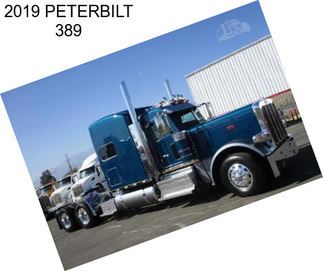 2019 PETERBILT 389