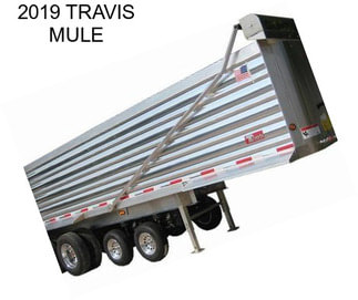 2019 TRAVIS MULE