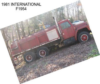 1981 INTERNATIONAL F1954