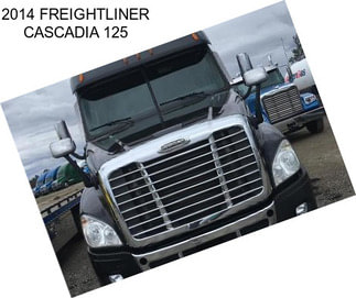 2014 FREIGHTLINER CASCADIA 125