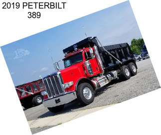 2019 PETERBILT 389