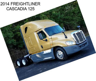 2014 FREIGHTLINER CASCADIA 125