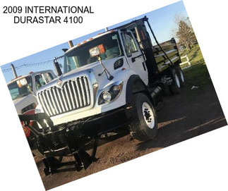 2009 INTERNATIONAL DURASTAR 4100