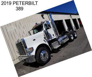 2019 PETERBILT 389