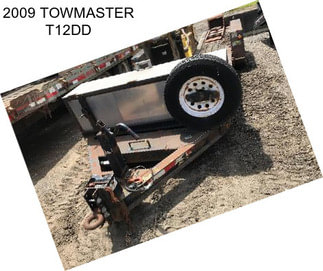 2009 TOWMASTER T12DD