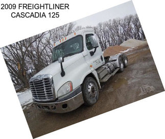 2009 FREIGHTLINER CASCADIA 125