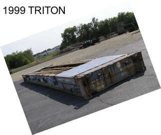1999 TRITON