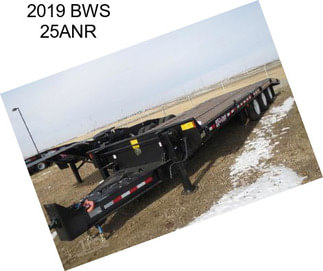 2019 BWS 25ANR