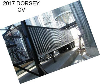 2017 DORSEY CV