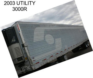 2003 UTILITY 3000R