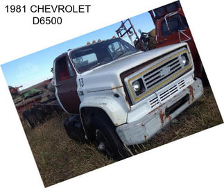 1981 CHEVROLET D6500