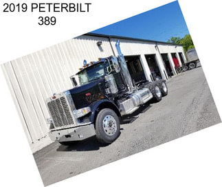 2019 PETERBILT 389