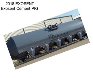 2018 EXOSENT Exosent Cement PIG