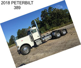 2018 PETERBILT 389