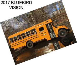 2017 BLUEBIRD VISION