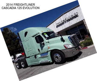 2014 FREIGHTLINER CASCADIA 125 EVOLUTION