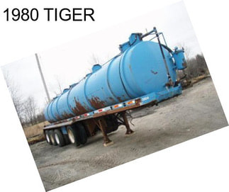 1980 TIGER