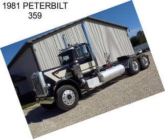 1981 PETERBILT 359