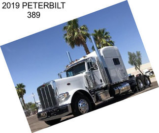 2019 PETERBILT 389